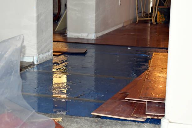 Professional Basement Flood Cleanup technician working in Morrice, MI