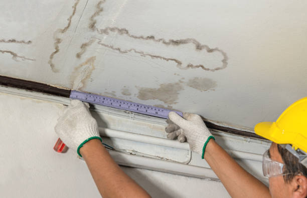 Reliable Basement Flood Cleanup contractor in Morrice, MI by Aqua Guard Water Damage